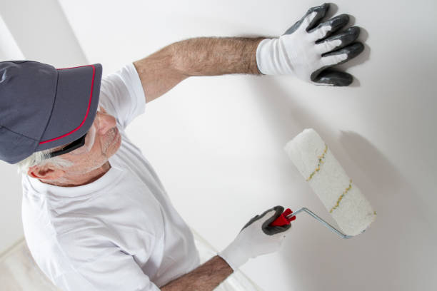 Best Mold Odor Removal Services  in Johnson, AR