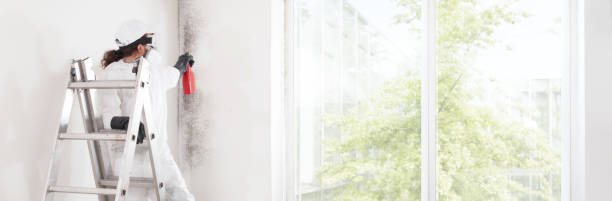  Johnson, AR Mold Removal Pros